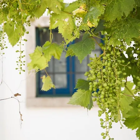 Trullo La Pergola * Ceglie Messapica